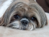 How cute is she??